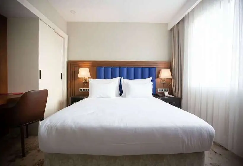 اتاق سوپریور, Ramada Plaza By Wyndham Sultanahmet