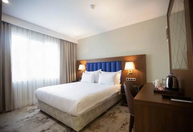 اتاق سوپریور, Ramada Plaza By Wyndham Sultanahmet
