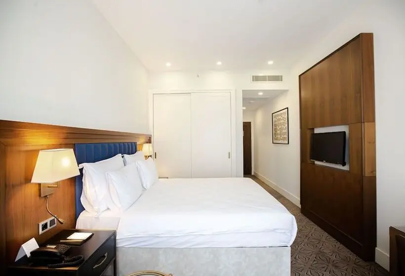 اتاق سوپریور با چشم‌انداز استخر, Ramada Plaza By Wyndham Sultanahmet