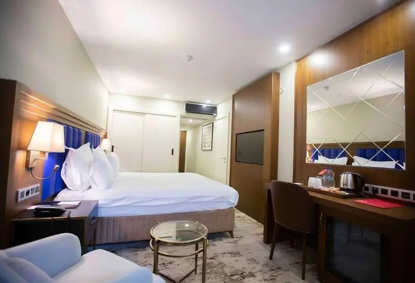 اتاق سوپریور با چشم‌انداز استخر, Ramada Plaza By Wyndham Sultanahmet