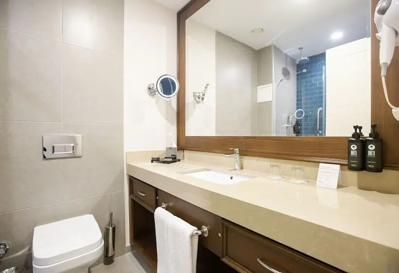 اتاق سوپریور با چشم‌انداز استخر, Ramada Plaza By Wyndham Sultanahmet