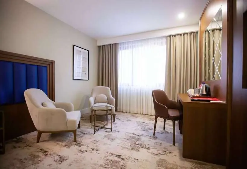 اتاق استاندارد برای معلولان, Ramada Plaza By Wyndham Sultanahmet