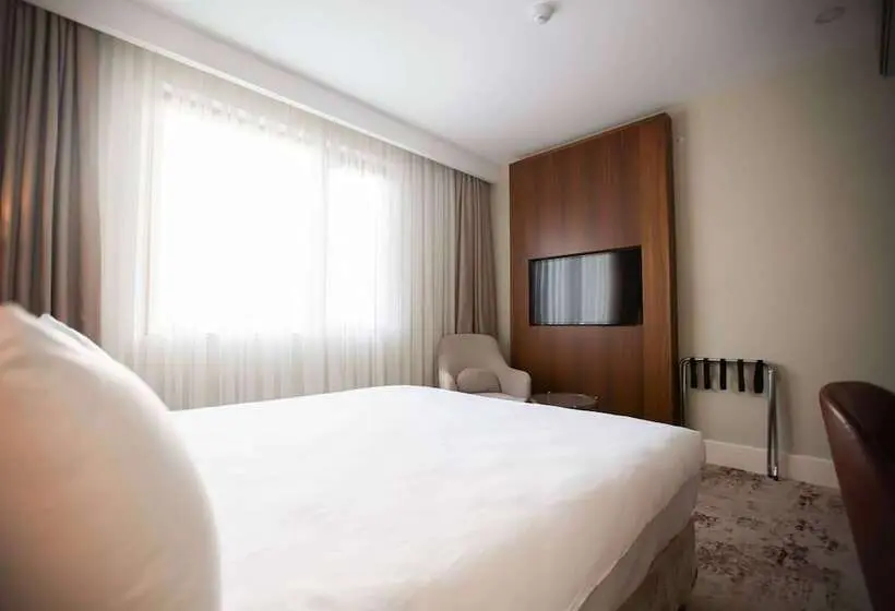 اتاق سوپریور با چشم‌انداز شهر, Ramada Plaza By Wyndham Sultanahmet