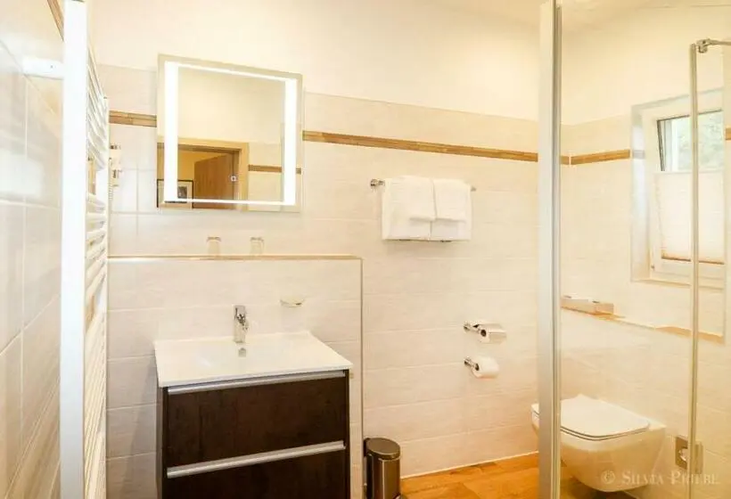 デラックスルーム, Ostseehotel Wustrow