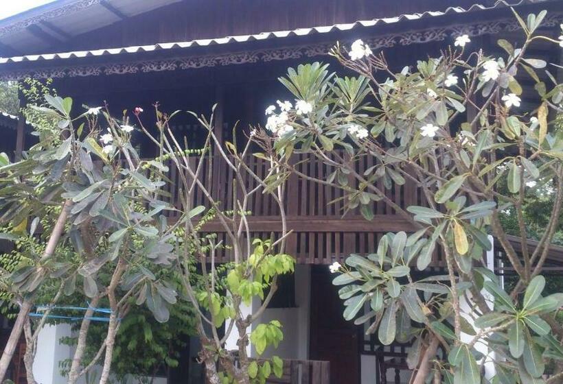 בית, 3 חדרי שינה, Hora Home