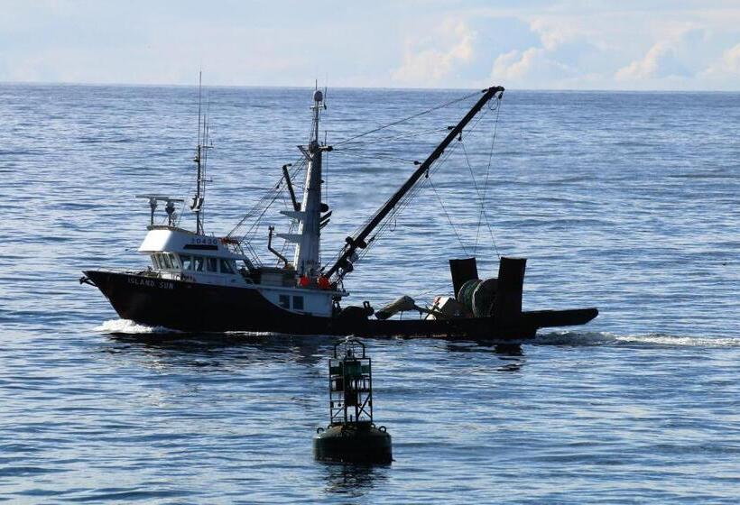 סטודיו סטנדרטי נוף לים, Melfort Bell Guest Suites