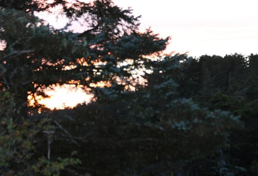 סטודיו סטנדרטי נוף לים, Melfort Bell Guest Suites