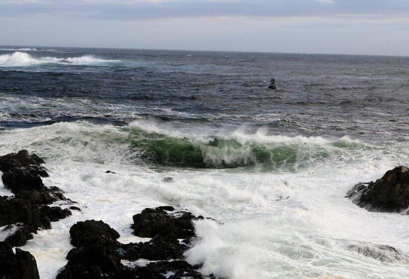 סטודיו סטנדרטי נוף לים, Melfort Bell Guest Suites