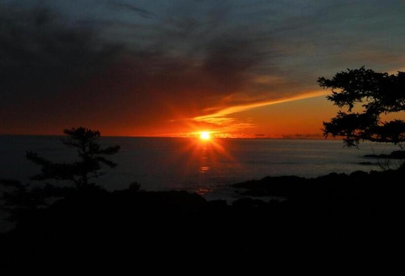 סטודיו סטנדרטי נוף לים, Melfort Bell Guest Suites