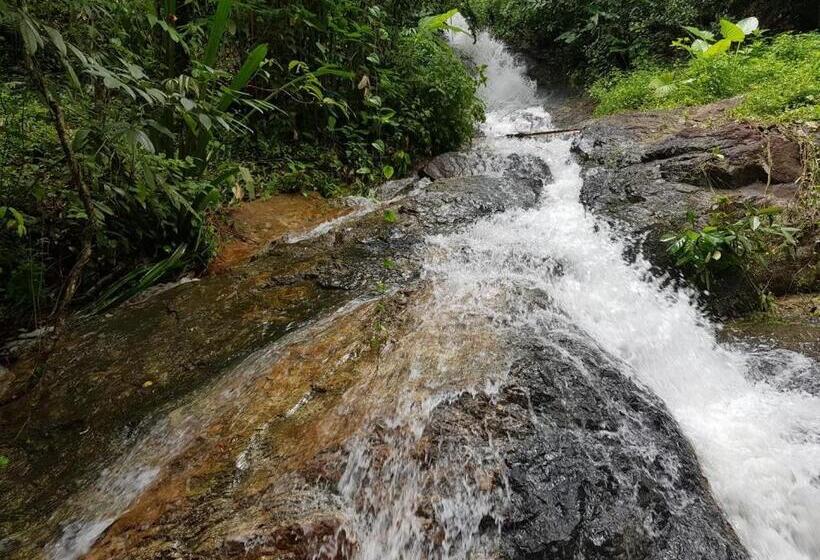 マウンテンビュースタンダードルーム, Nua Tone Resort Bang Tao & Cafe