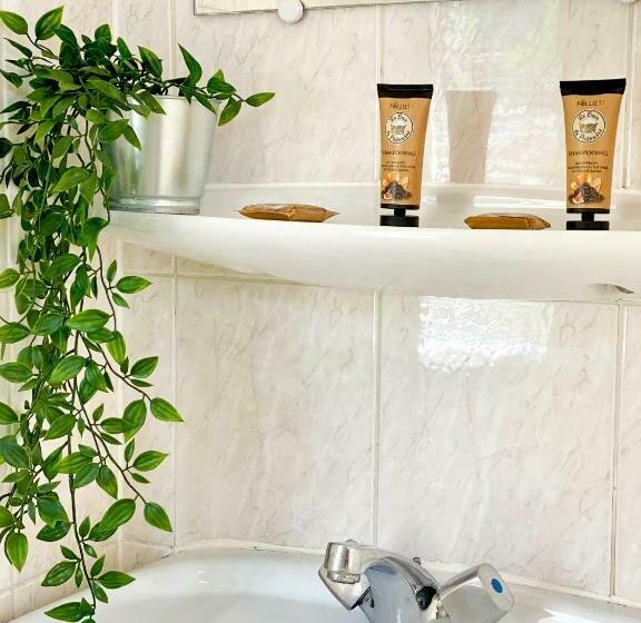 スタンダードルーム, Doume S Lodge