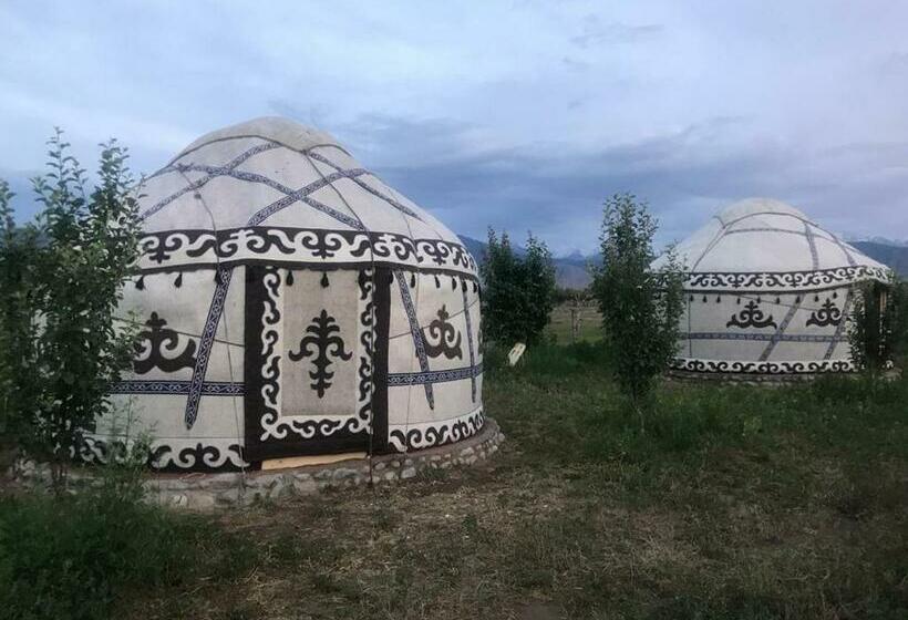 تختخواب در اتاق مشترک, Guest House And Yurt Camp Aktan