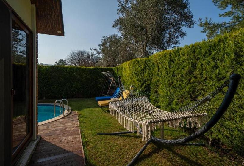 Quarto Deluxe, Terra Pi̇ne