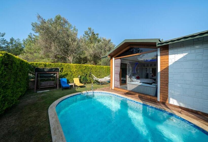 Quarto Deluxe, Terra Pi̇ne