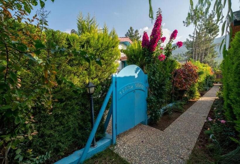 Quarto Deluxe, Terra Pi̇ne