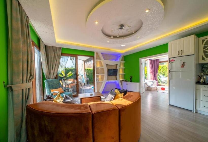 Quarto Deluxe, Terra Pi̇ne