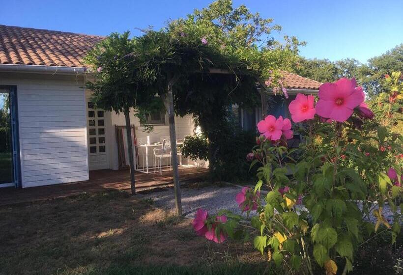 חדר סטנדרט עם טרסה, Les Taouleres