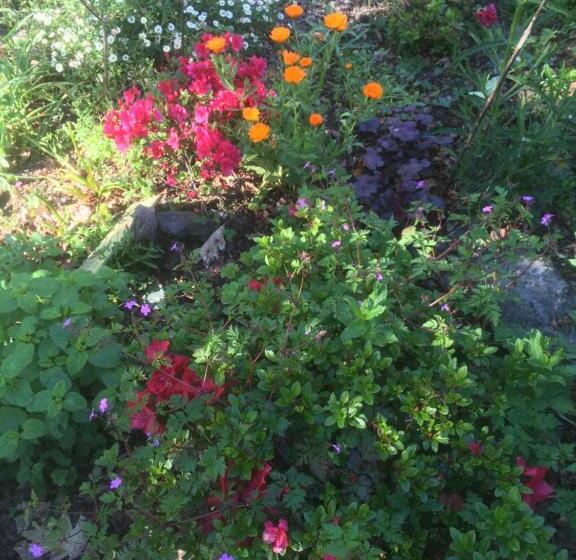 חדר סטנדרט, Les Taouleres