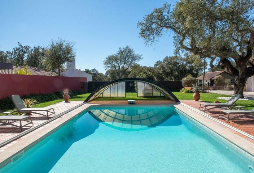 스탠다드 룸 킹사이즈 침대, Herdade Das Onzenas De Cima