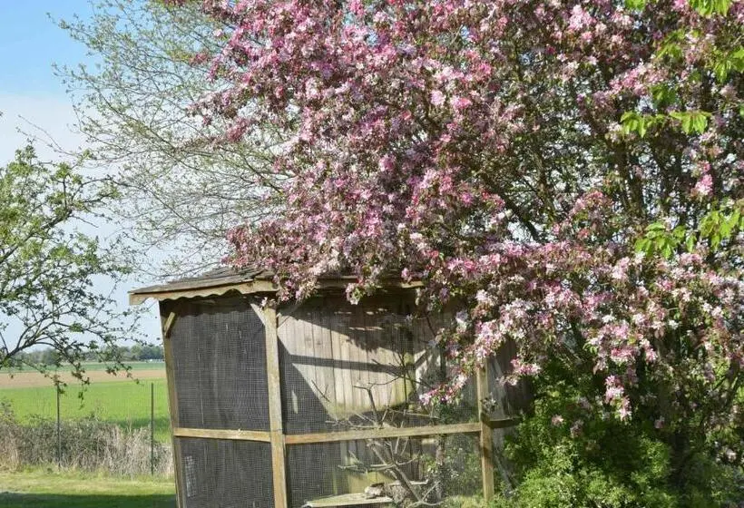 キングサイズベッドのスタンダードルーム, Les Chambres D Hôtes Du Vert Galant L Allée Des Champs