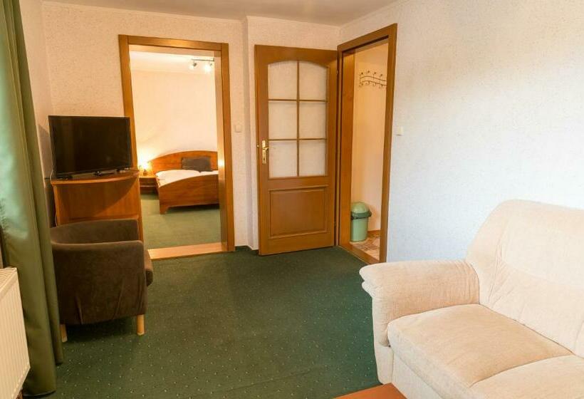 شقة غرفة واحدة, Penzión Teplička