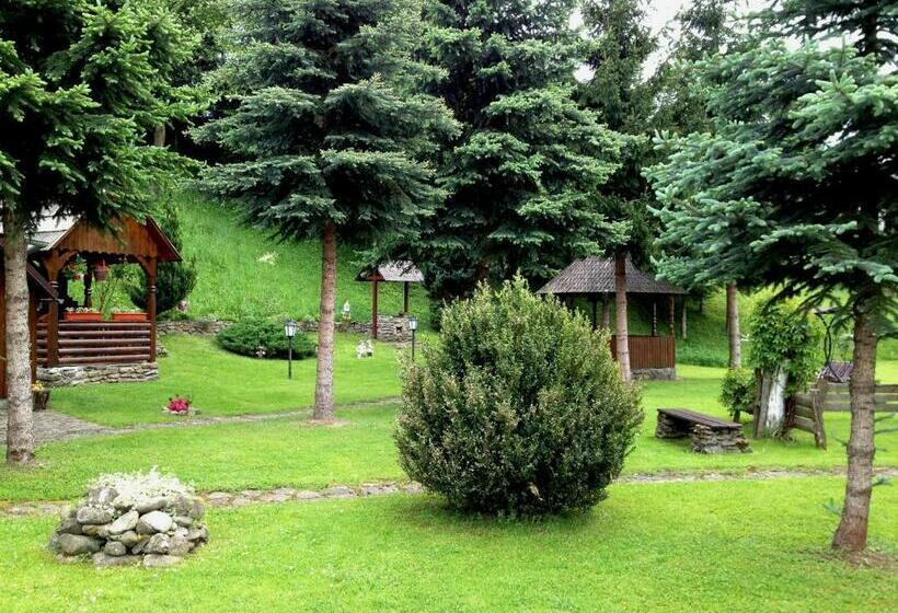 חדר סטנדרט נוף לגינה, Pensiunea Turlas Maria