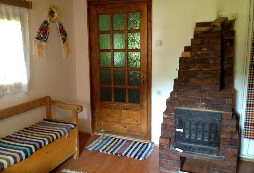 בית, 2 חדרי שינה, Pensiunea Turlas Maria