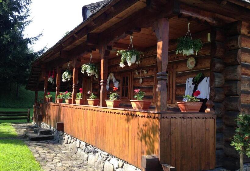 בית, 2 חדרי שינה, Pensiunea Turlas Maria