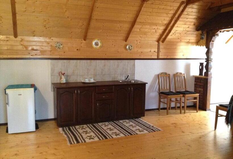 شقة غرفة واحدة مزودة بتراس, Pensiunea Turlas Maria