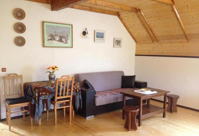 شقة غرفة واحدة مزودة بتراس, Pensiunea Turlas Maria