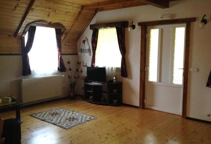 דירת חדר עם טרסה, Pensiunea Turlas Maria