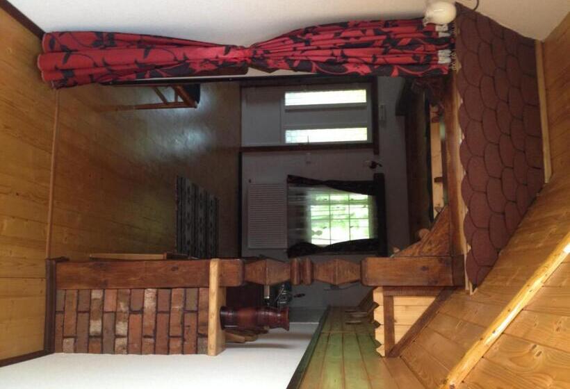 شقة غرفة واحدة مزودة بتراس, Pensiunea Turlas Maria