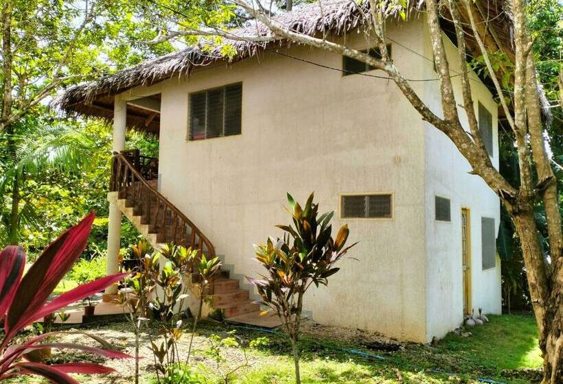 סטודיו משפחתי, The Sylvia