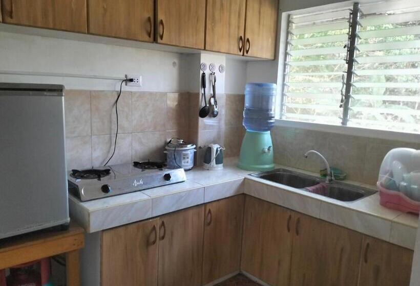 סטודיו סטנדרט עם מרפסת, The Sylvia