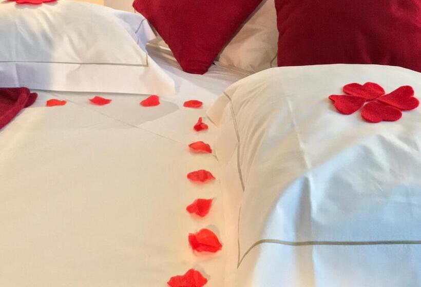 标准间, Arc My Otel