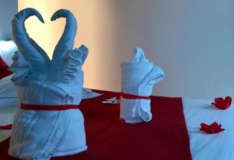 标准间, Arc My Otel