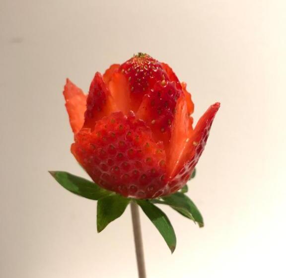 标准间, Arc My Otel