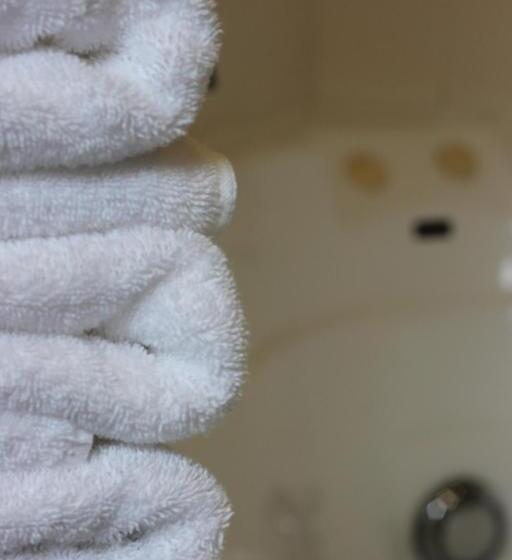 Студия Deluxe, Greenlane Manor Motel