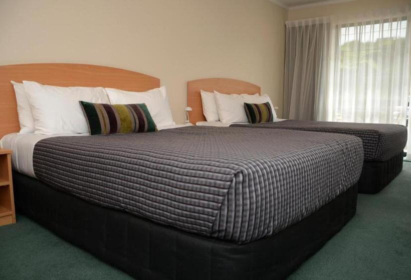 Номер Deluxe, Greenlane Manor Motel