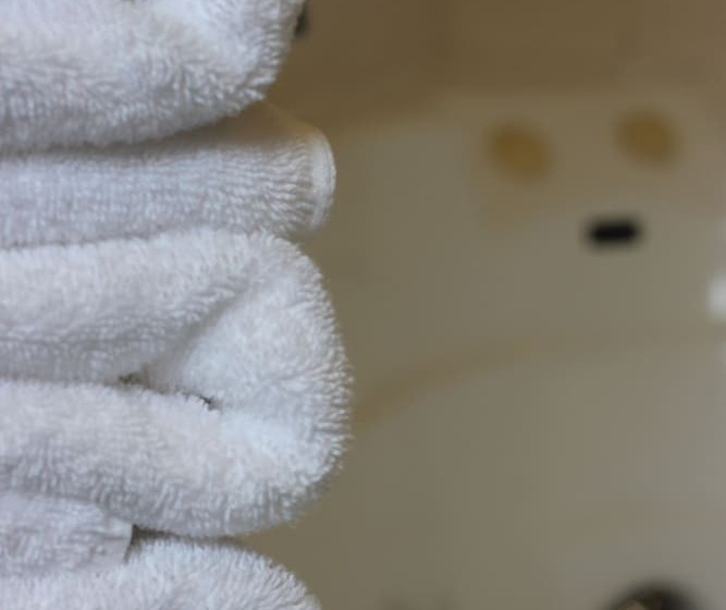 Студия Deluxe, Greenlane Manor Motel