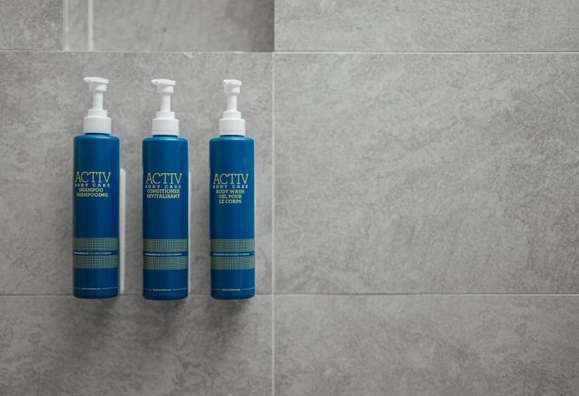 Quarto Deluxe, Four Points By Sheraton Josun, Seoul Station