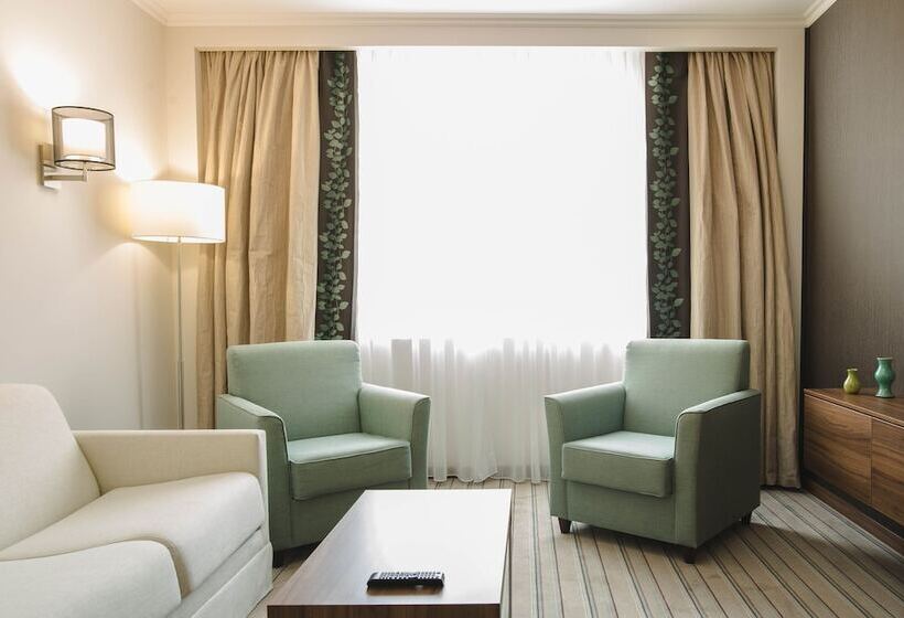 سوئیت با تخت بزرگ, Hilton Garden Inn Ufa Riverside