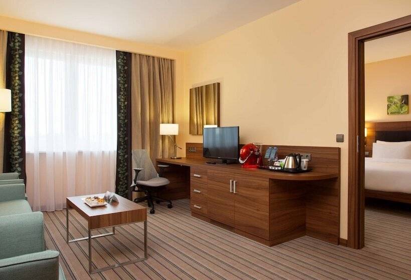 带大床的套房, Hilton Garden Inn Ufa Riverside