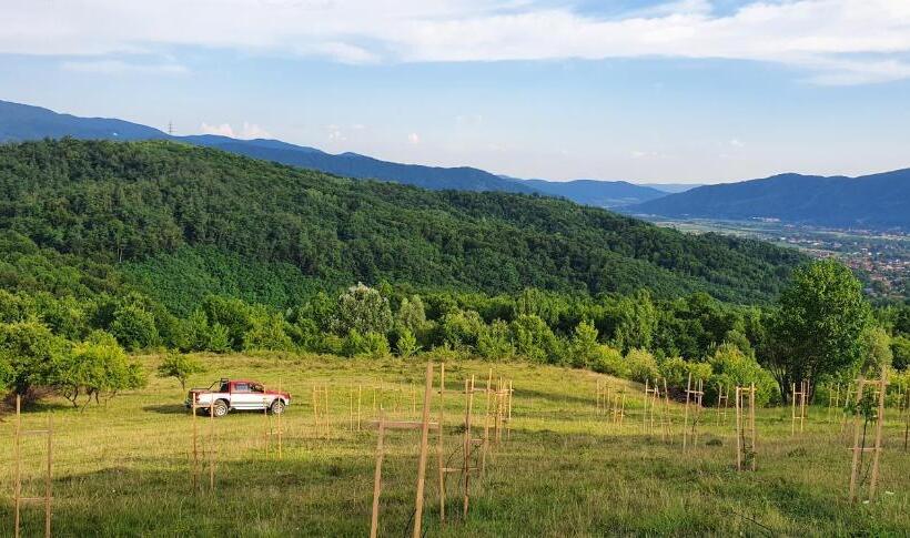 Casa 1 Dormitorio, Cabana Beta