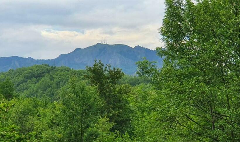 Casa 1 Dormitorio, Cabana Beta