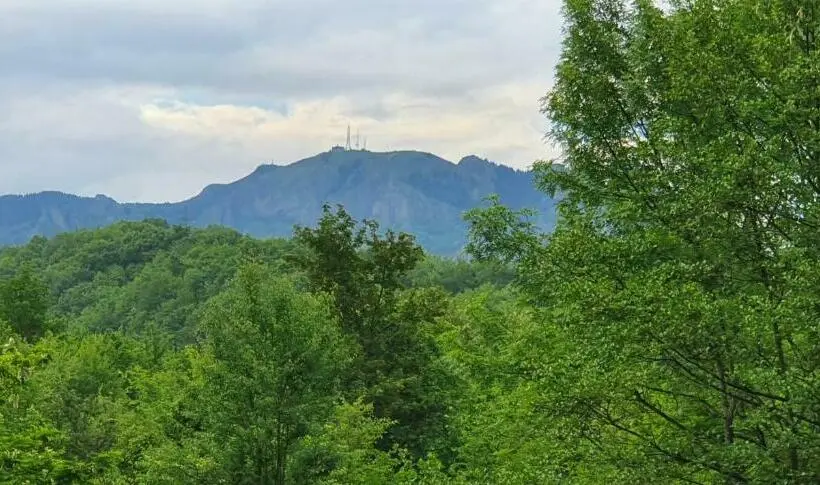 خانه 1 خوابه, Cabana Beta