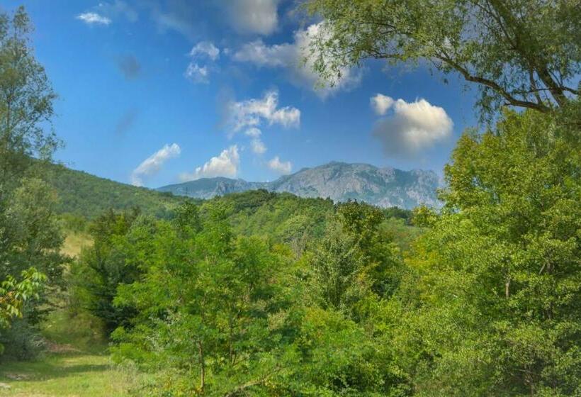 Casa 1 Dormitorio, Cabana Beta