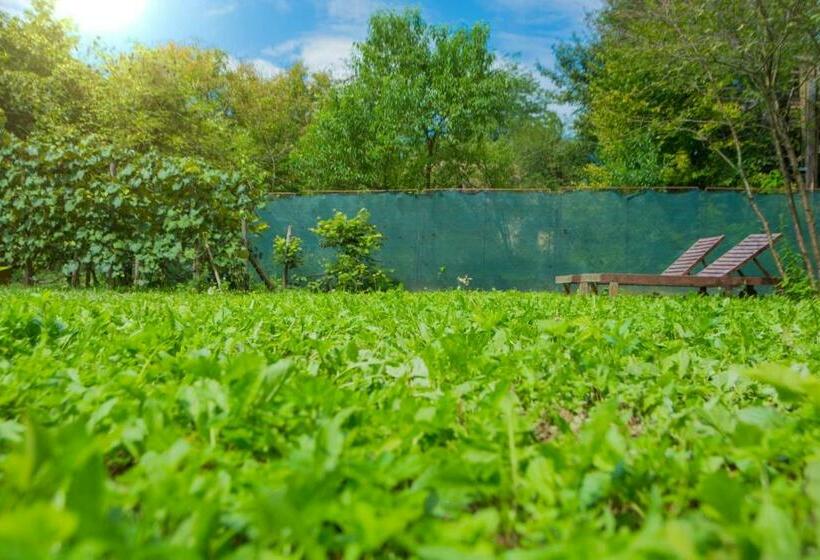 Casa 1 Dormitorio, Cabana Beta