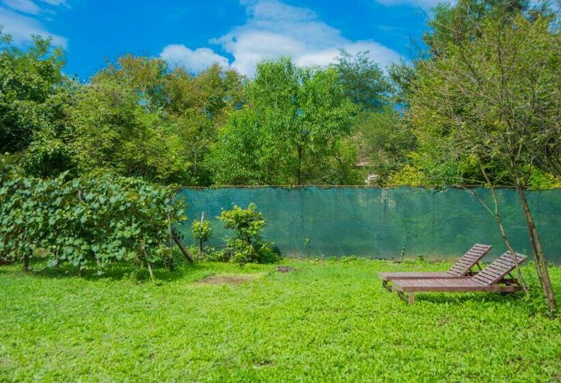 Casa 1 Dormitorio, Cabana Beta