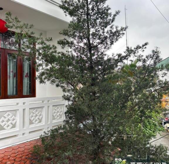 اتاق سوپریور, Vang Anh Homestay Hoi An